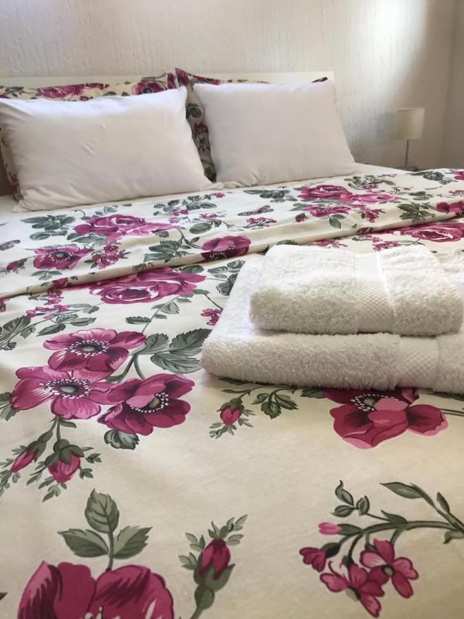 Apartman Studio Milojkovic Golubac Extérieur photo