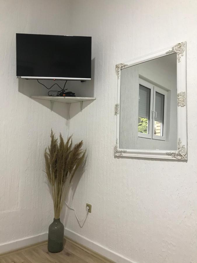 Apartman Studio Milojkovic Golubac Extérieur photo