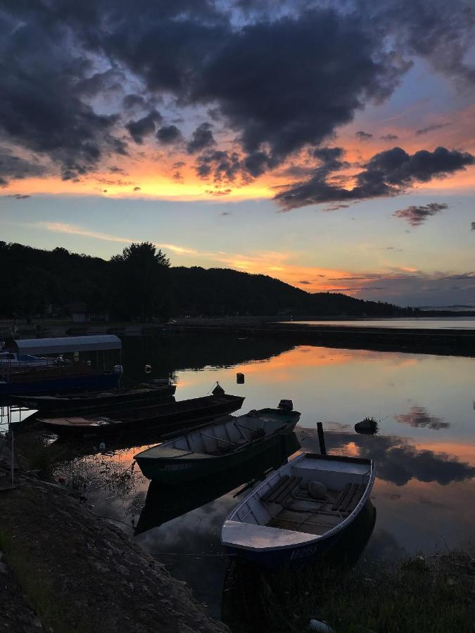 Apartman Studio Milojkovic Golubac Extérieur photo