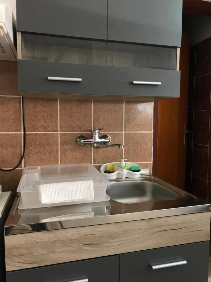 Apartman Studio Milojkovic Golubac Extérieur photo