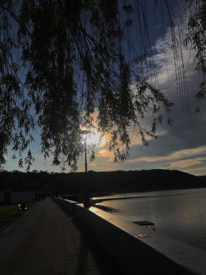 Apartman Studio Milojkovic Golubac Extérieur photo