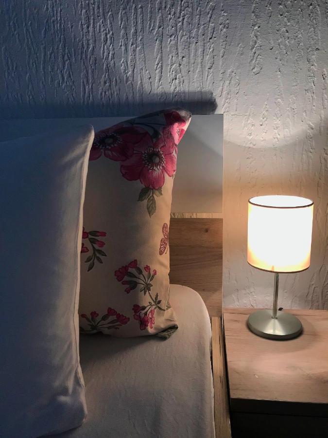 Apartman Studio Milojkovic Golubac Extérieur photo