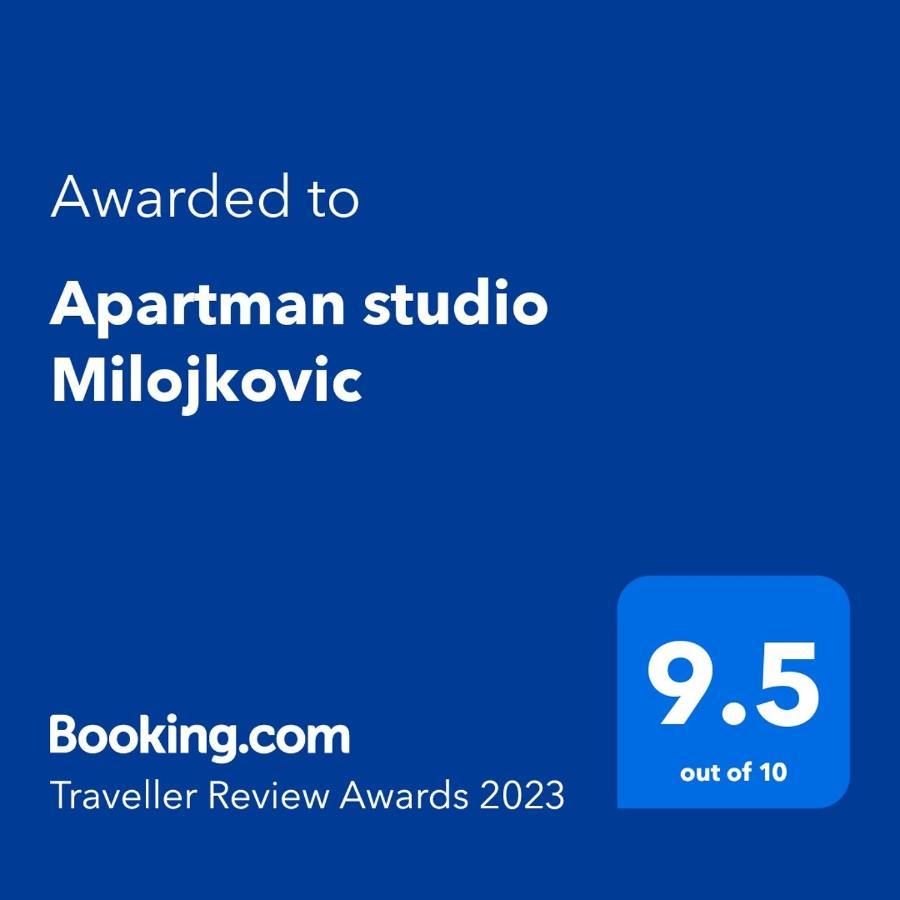 Apartman Studio Milojkovic Golubac Extérieur photo