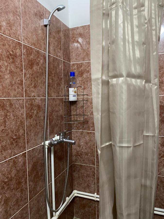 Apartman Studio Milojkovic Golubac Extérieur photo